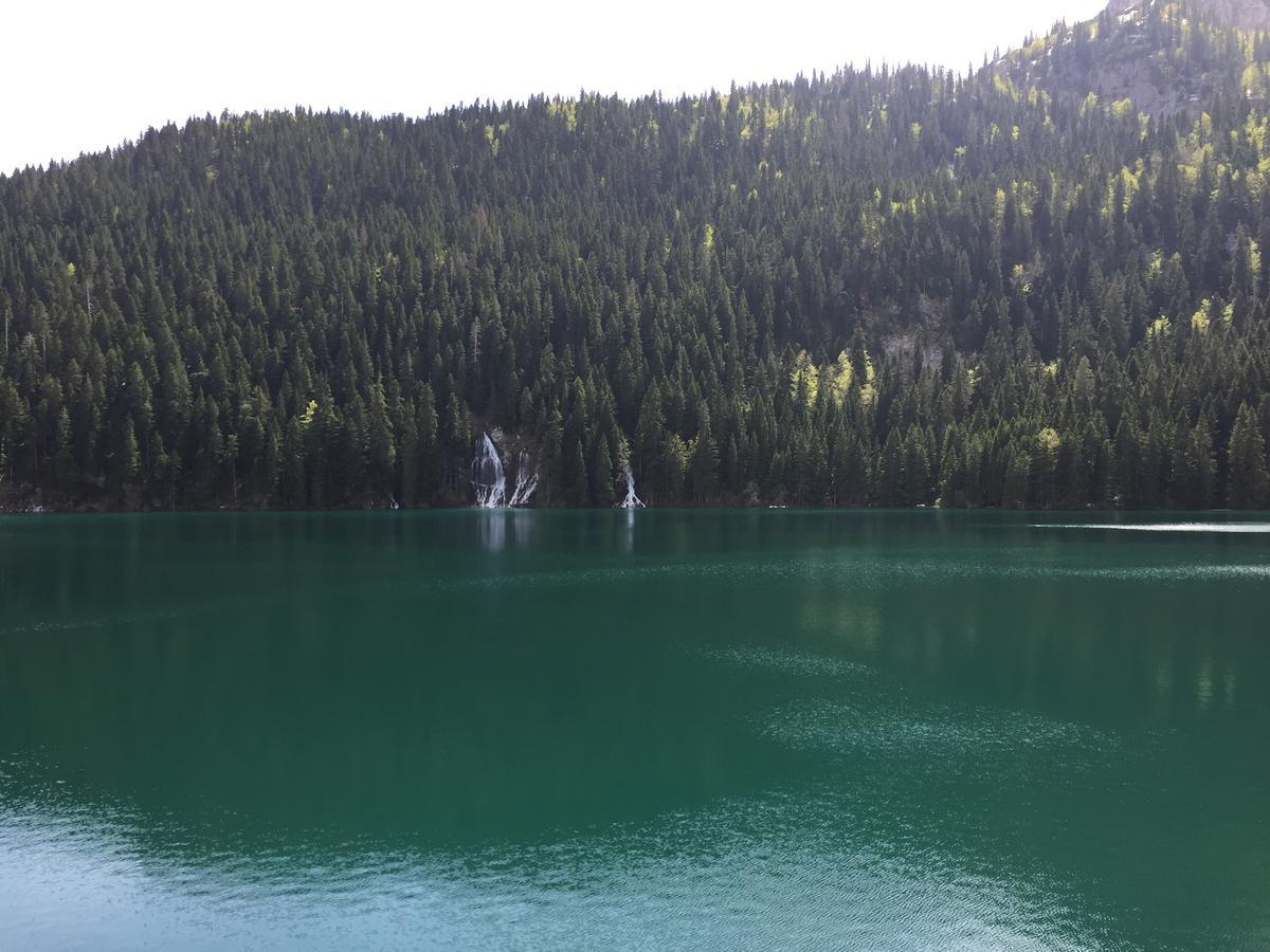 Villa Moutain View Žabljak 外观 照片