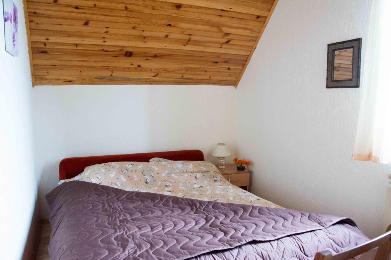 Villa Moutain View Žabljak 外观 照片